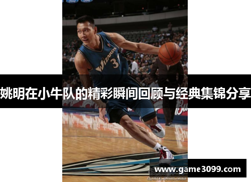 姚明在小牛队的精彩瞬间回顾与经典集锦分享